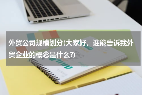 外贸公司规模划分(大家好，谁能告诉我外贸企业的概念是什么?)