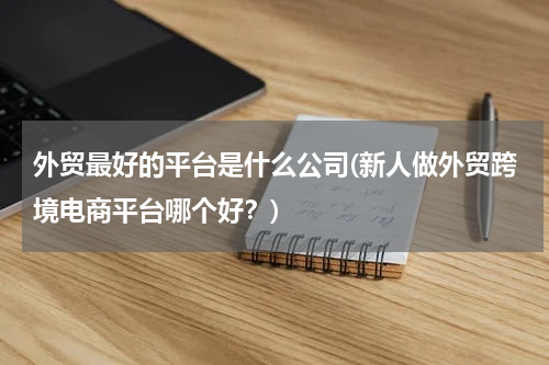 外贸最好的平台是什么公司(新人做外贸跨境电商平台哪个好？)