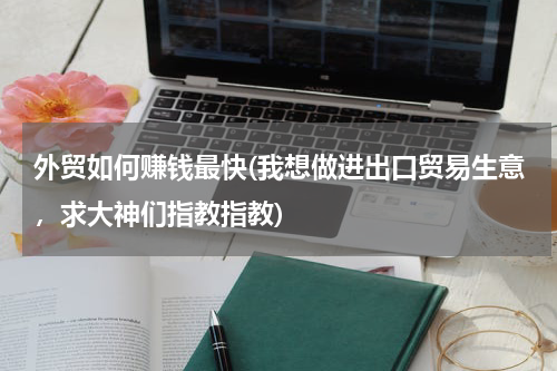 外贸如何赚钱最快(我想做进出口贸易生意，求大神们指教指教)