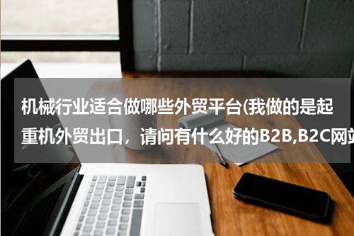 机械行业适合做哪些外贸平台(我做的是起重机外贸出口，请问有什么好的B2B,B2C网站吗？)