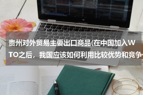 贵州对外贸易主要出口商品(在中国加入WTO之后，我国应该如何利用比较优势和竞争优势来大力发展我国的对外贸易)