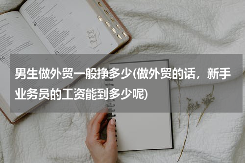 男生做外贸一般挣多少(做外贸的话，新手业务员的工资能到多少呢)