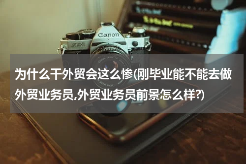 为什么干外贸会这么惨(刚毕业能不能去做外贸业务员,外贸业务员前景怎么样?)
