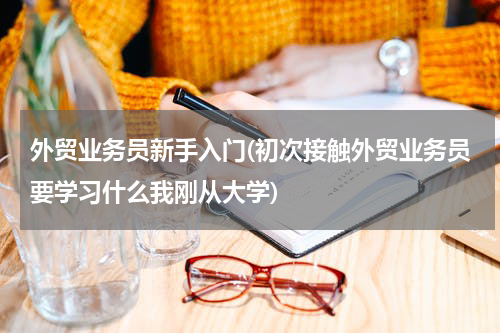 外贸业务员新手入门(初次接触外贸业务员要学习什么我刚从大学)