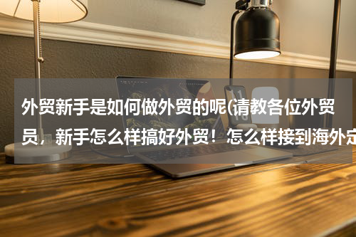 外贸新手是如何做外贸的呢(请教各位外贸员，新手怎么样搞好外贸！怎么样接到海外定单！)