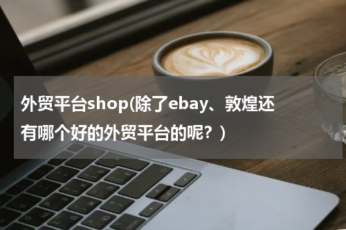 外贸平台shop(除了ebay、敦煌还有哪个好的外贸平台的呢？)