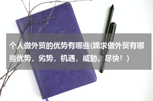 个人做外贸的优势有哪些(跪求做外贸有哪些优势，劣势，机遇，威胁。尽快！)