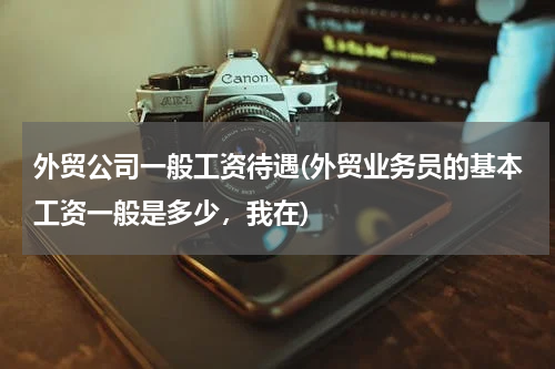 外贸公司一般工资待遇(外贸业务员的基本工资一般是多少，我在)