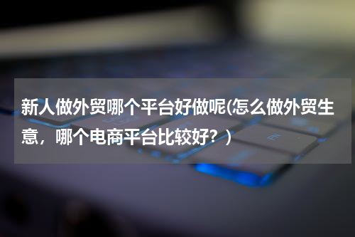 新人做外贸哪个平台好做呢(怎么做外贸生意，哪个电商平台比较好？)