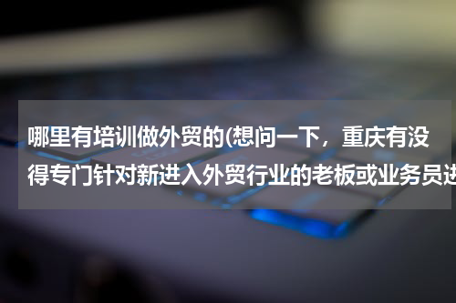 哪里有培训做外贸的(想问一下，重庆有没得专门针对新进入外贸行业的老板或业务员进行培训的地方)