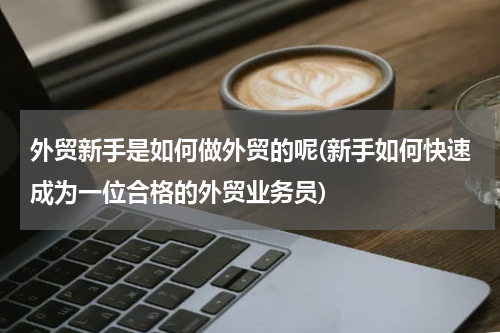 外贸新手是如何做外贸的呢(新手如何快速成为一位合格的外贸业务员)