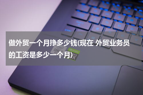 做外贸一个月挣多少钱(现在 外贸业务员的工资是多少一个月)