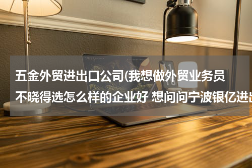 五金外贸进出口公司(我想做外贸业务员 不晓得选怎么样的企业好 想问问宁波银亿进出口有限公司怎么样)