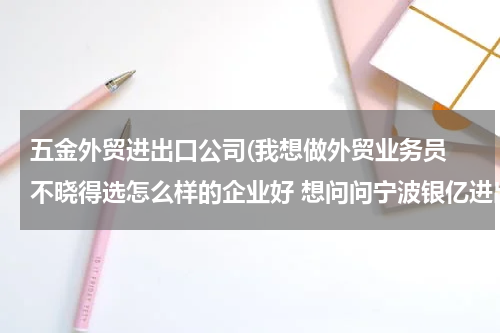 五金外贸进出口公司(我想做外贸业务员 不晓得选怎么样的企业好 想问问宁波银亿进出口有限公司怎么样)
