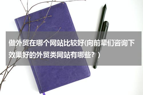 做外贸在哪个网站比较好(向前辈们咨询下效果好的外贸类网站有哪些？)