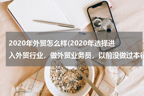 2020年外贸怎么样(2020年选择进入外贸行业，做外贸业务员，以前没做过本行业，女生，想问今年适合入行吗？能出业绩吗)