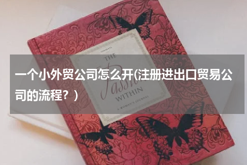 一个小外贸公司怎么开(注册进出口贸易公司的流程？)