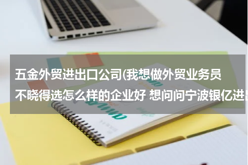五金外贸进出口公司(我想做外贸业务员 不晓得选怎么样的企业好 想问问宁波银亿进出口有限公司怎么样)