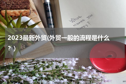 2023最新外贸(外贸一般的流程是什么？)