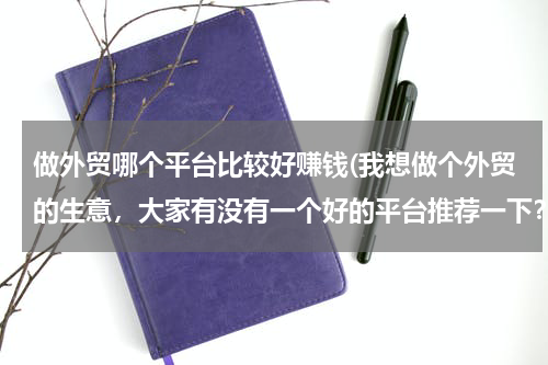 做外贸哪个平台比较好赚钱(我想做个外贸的生意，大家有没有一个好的平台推荐一下？)