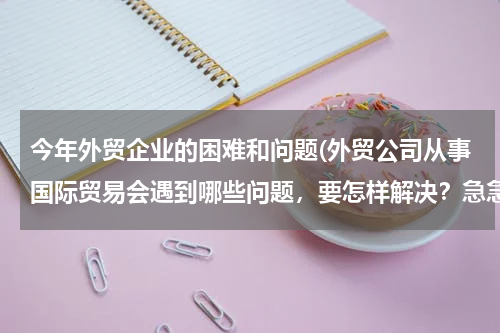 今年外贸企业的困难和问题(外贸公司从事国际贸易会遇到哪些问题，要怎样解决？急急急！！！！！！)