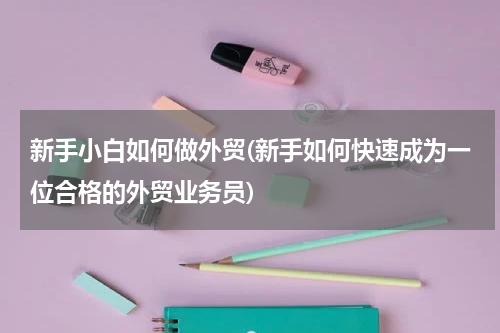 新手小白如何做外贸(新手如何快速成为一位合格的外贸业务员)