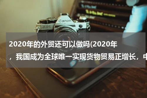 2020年的外贸还可以做吗(2020年，我国成为全球唯一实现货物贸易正增长，中国外贸为何韧性强大？)
