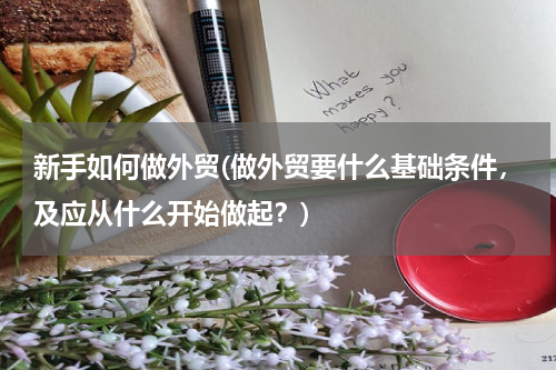 新手如何做外贸(做外贸要什么基础条件，及应从什么开始做起？)
