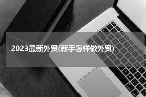 2023最新外贸(新手怎样做外贸)
