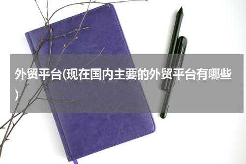 外贸平台(现在国内主要的外贸平台有哪些)
