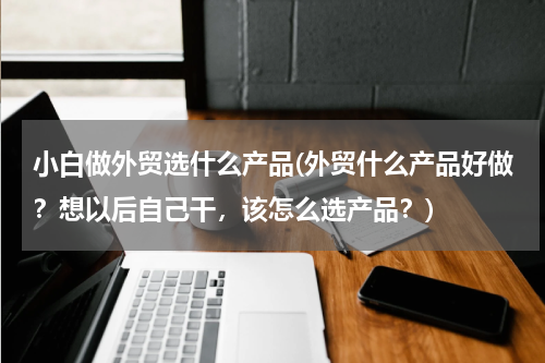 小白做外贸选什么产品(外贸什么产品好做？想以后自己干，该怎么选产品？)