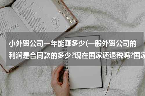 小外贸公司一年能赚多少(一般外贸公司的利润是合同款的多少?现在国家还退税吗?国家政策是不是不支持做外贸了?)