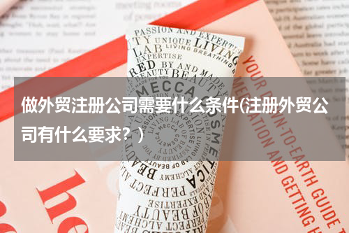 做外贸注册公司需要什么条件(注册外贸公司有什么要求？)