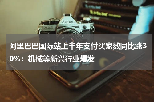 阿里巴巴国际站上半年支付买家数同比涨30%：机械等新兴行业爆发