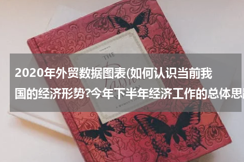 2020年外贸数据图表(如何认识当前我国的经济形势?今年下半年经济工作的总体思路和主要任务是什么？)