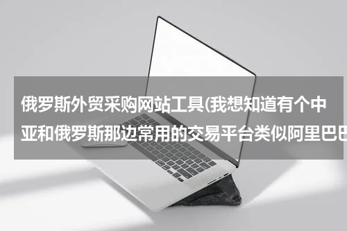 俄罗斯外贸采购网站工具(我想知道有个中亚和俄罗斯那边常用的交易平台类似阿里巴巴的，叫mega group 的这个平台，效率怎么样？急！)