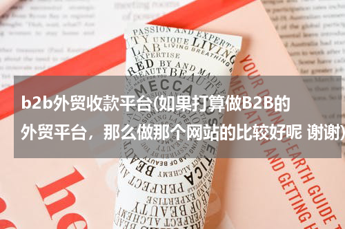 b2b外贸收款平台(如果打算做B2B的外贸平台，那么做那个网站的比较好呢 谢谢)