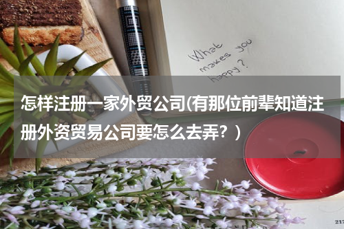 怎样注册一家外贸公司(有那位前辈知道注册外资贸易公司要怎么去弄？)