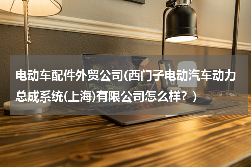 电动车配件外贸公司(西门子电动汽车动力总成系统(上海)有限公司怎么样？)